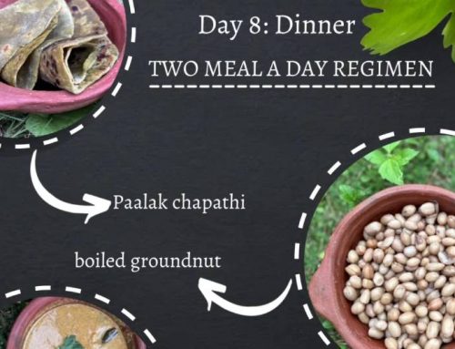 Two Meal a Day Regimen